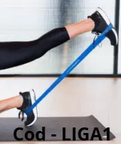 LIGA ELASTICA 